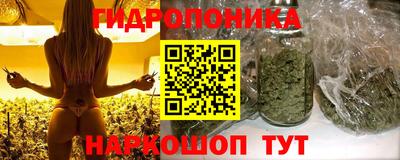 прущие грибы Свободный
