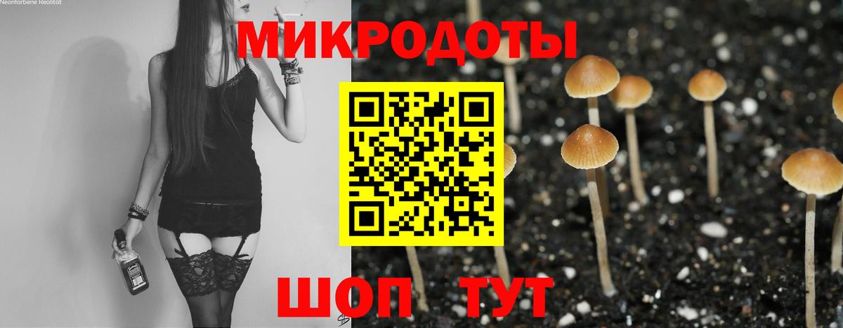 Галлюциногенные грибы Psilocybe Моздок